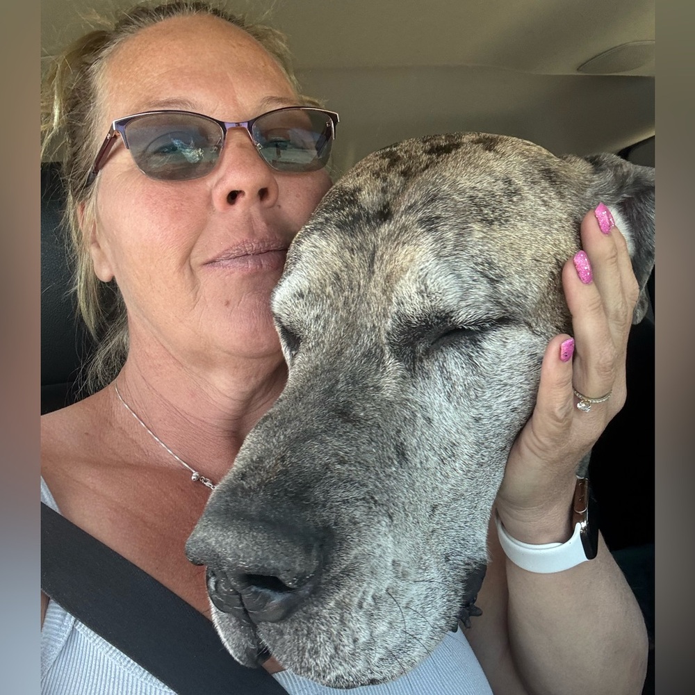 ⚠️QVC AS IS LIVE SHOW LISTING!! *Items will have various degrees of damage. - Picture 4 of 14